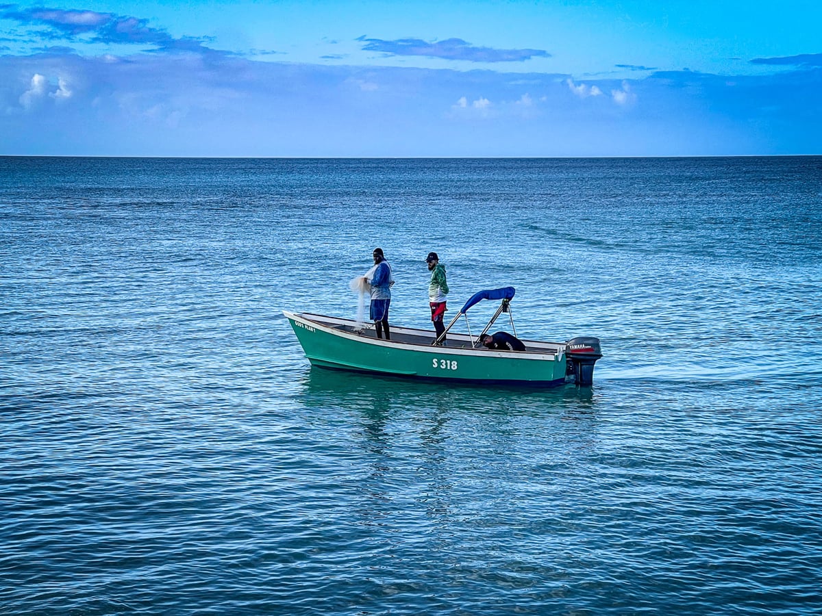 Dawn fishing